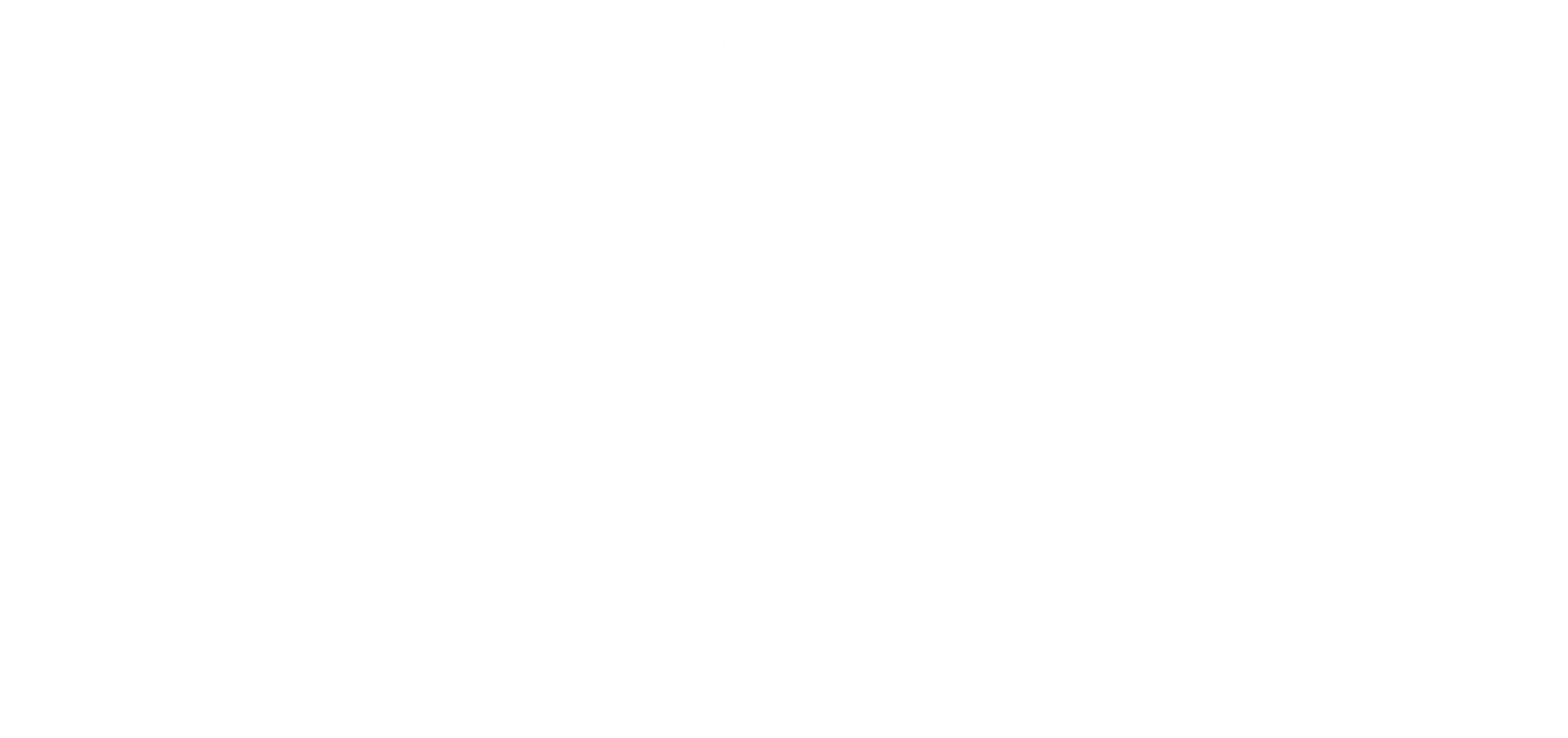 Austin Two-Step Tours